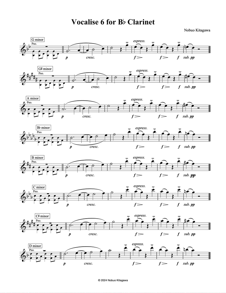 Vocalise 6 For B-flat Clarinet　B クラリネットの為のヴォカリーズ６